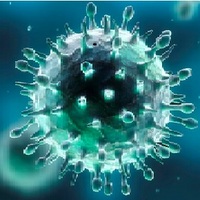 Coronavirus disposizioni