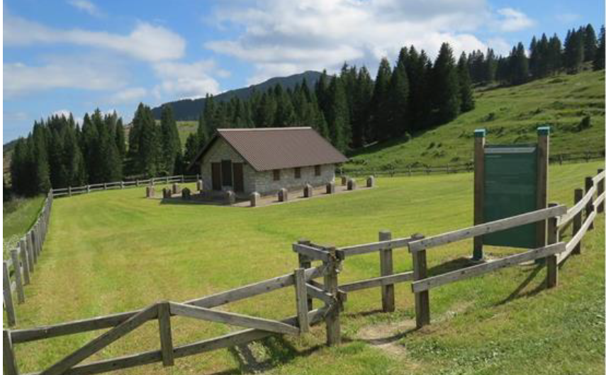 A Malga Zonta, con Cattinella